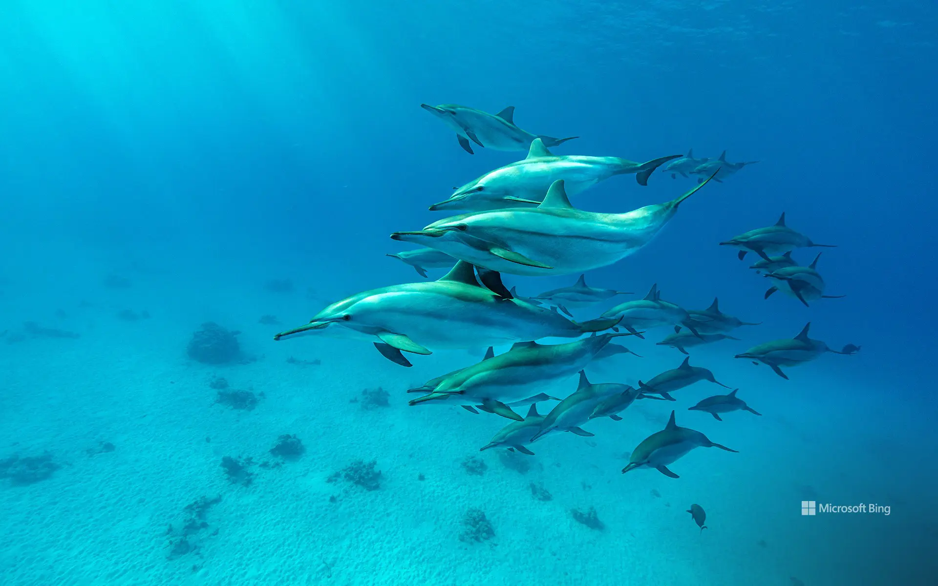 آب، نفس، روان